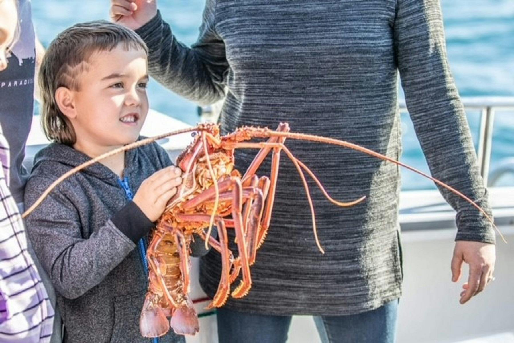 Kalbarri Rock Lobster Tours and Charter, Kalbarri, Western Australia