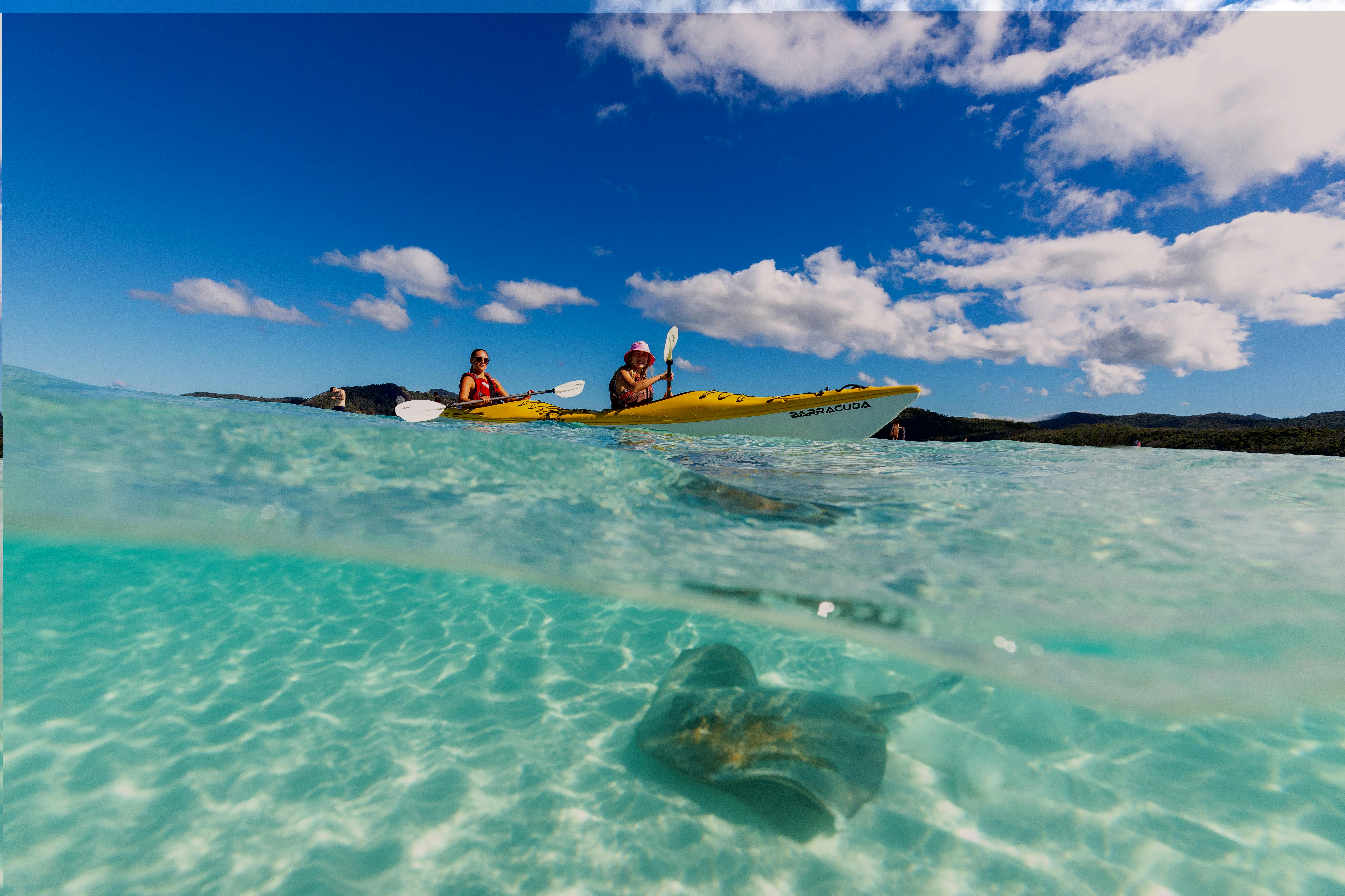 Whitehaven Stingray