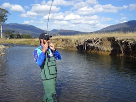 dry fly at its best
