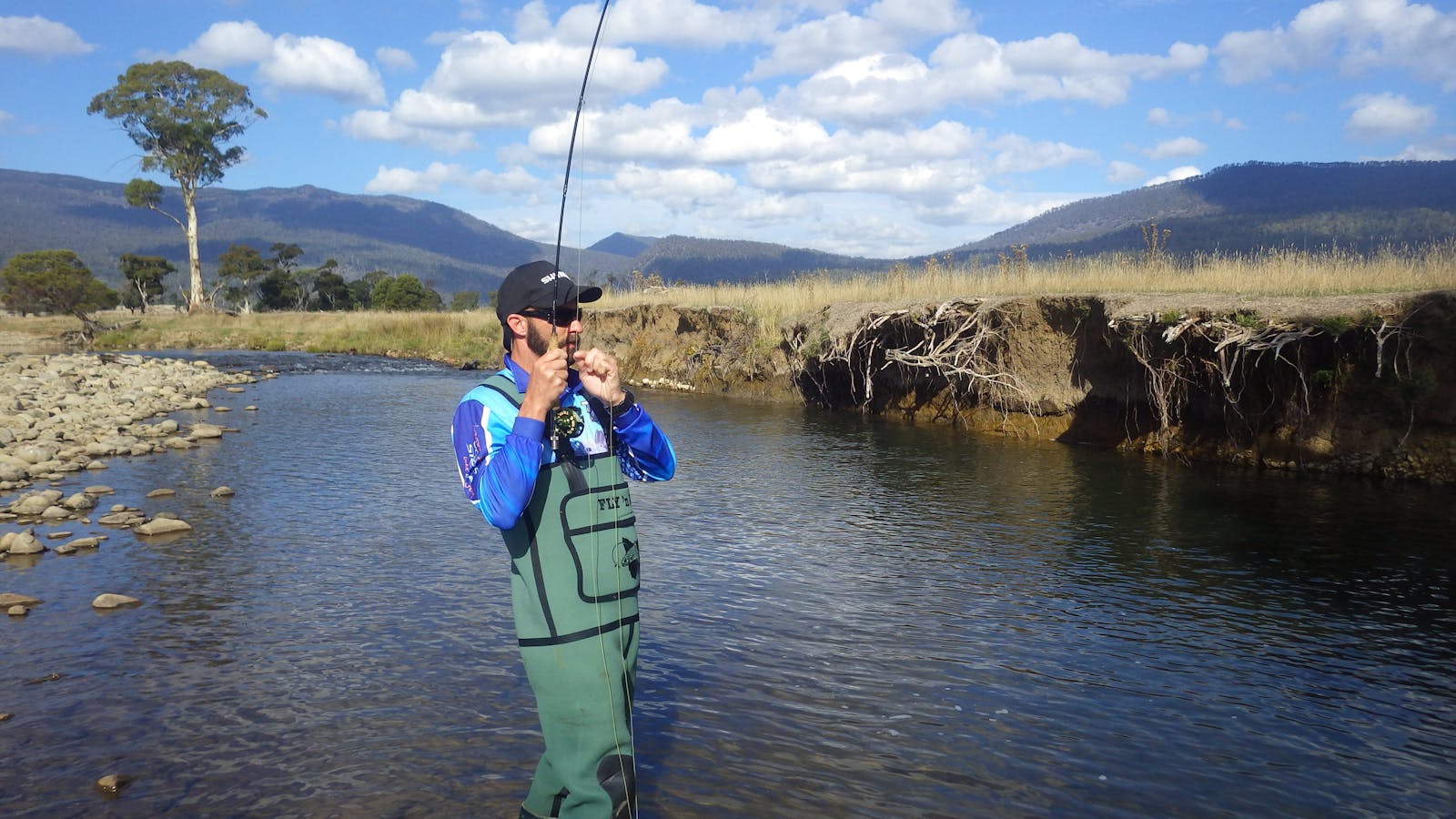 great 'hopper action