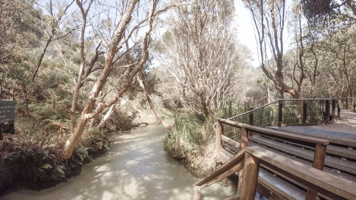 Eli Creek, world heritage-listed Fraser Island on the Fraser Coast.