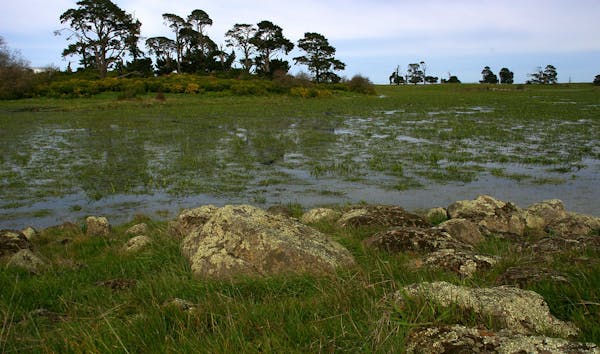 Yatmerone Reserve