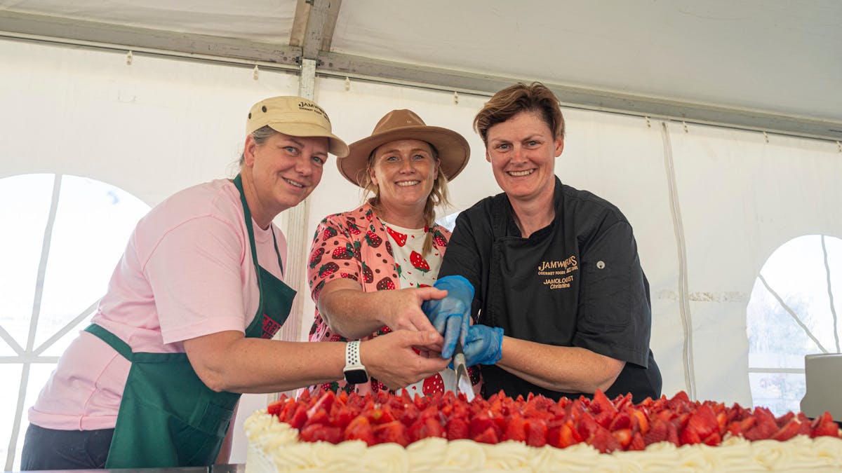 Stanthorpe Berry Festival