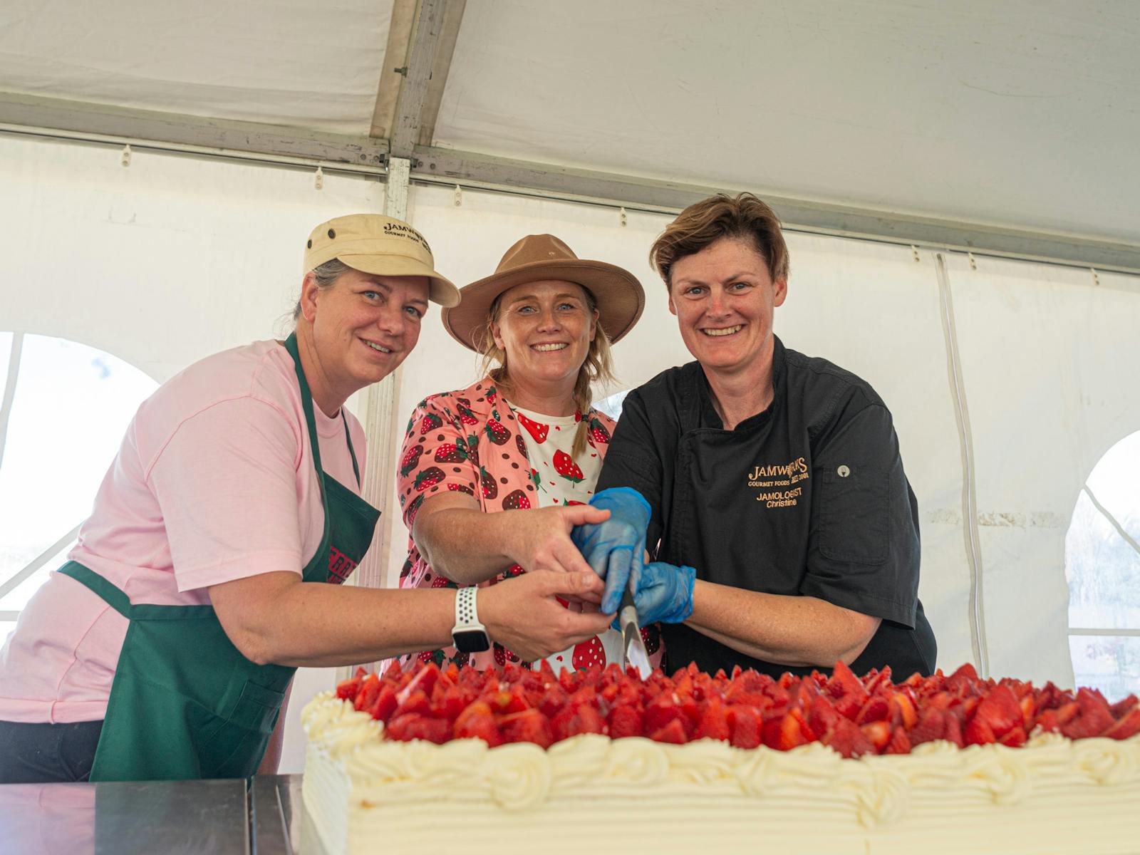 Stanthorpe Berry Festival Stanthorpe Berry Festival