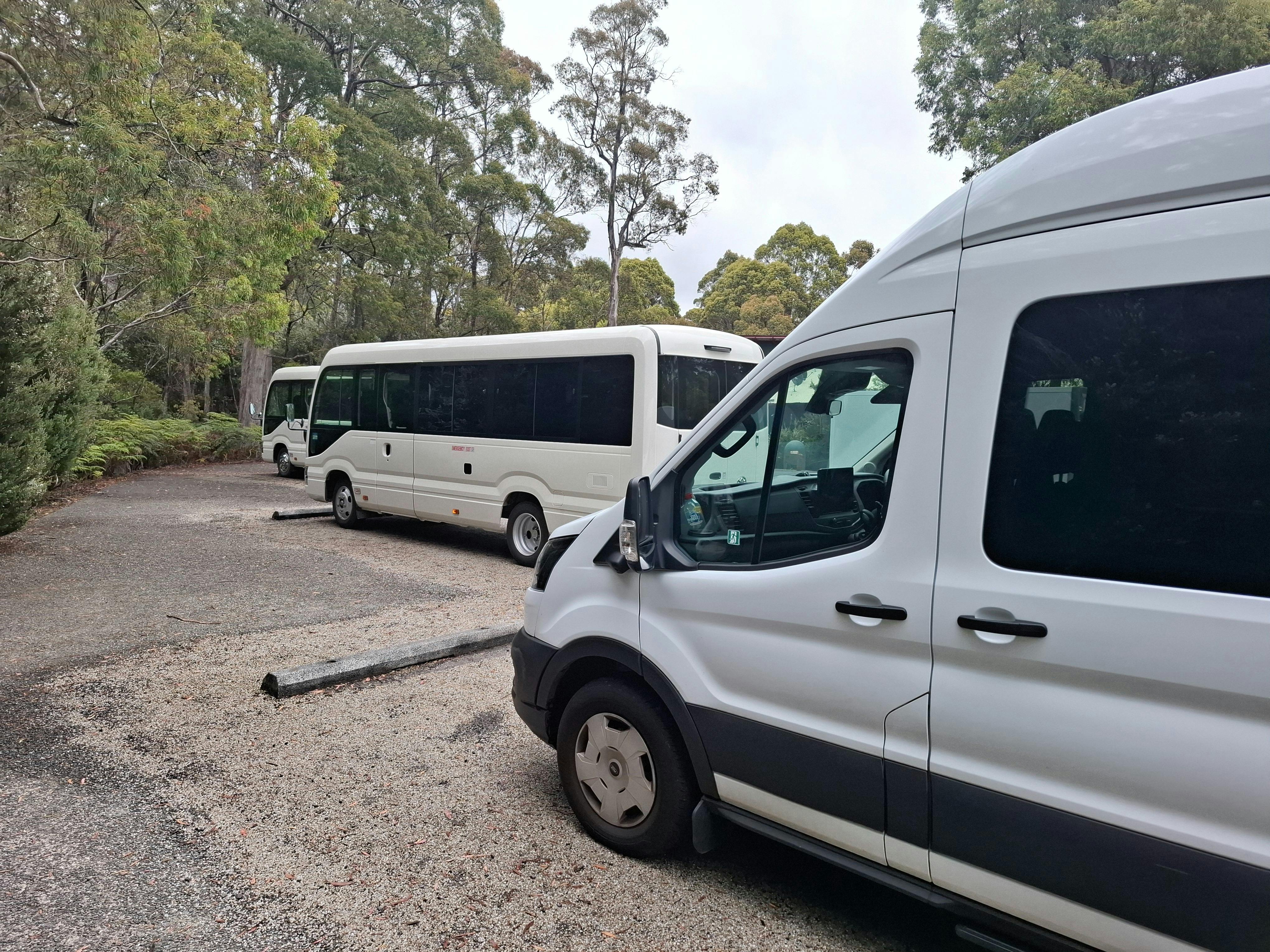 Cradle Mountain to Lake St Clair