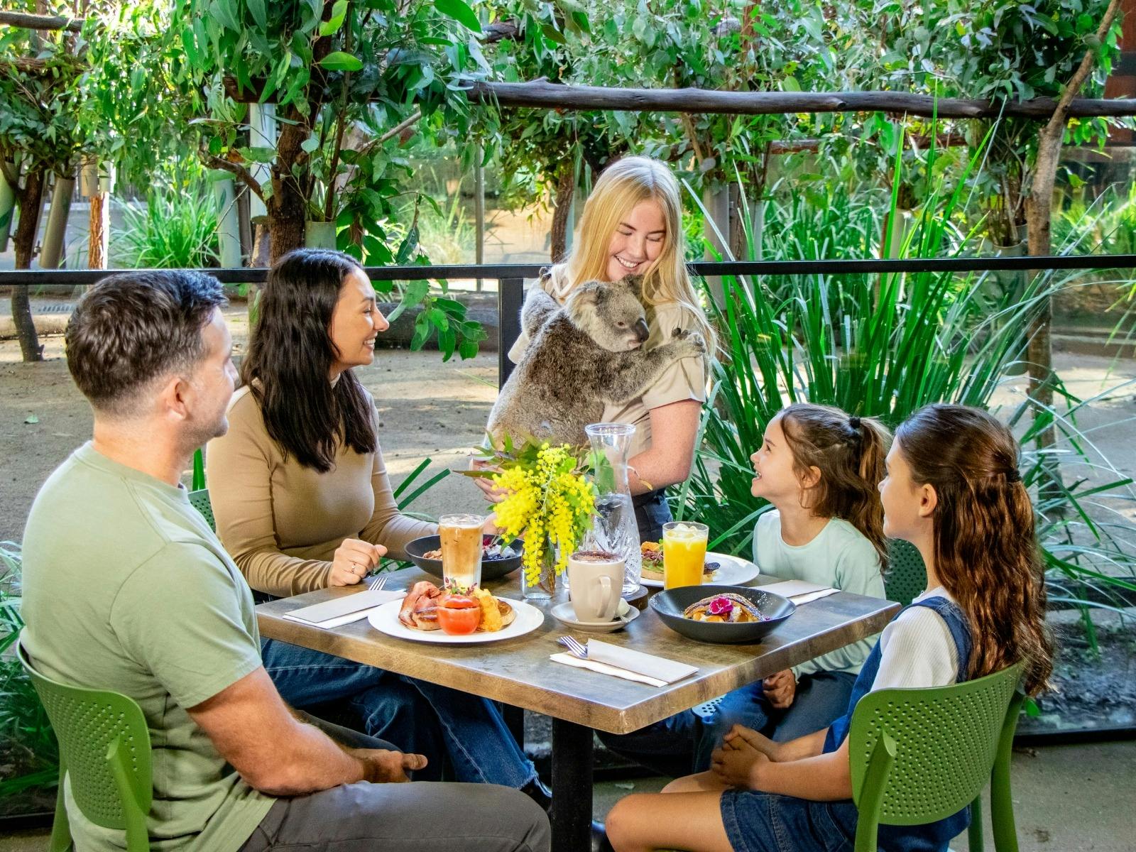 Enjoy a delicious breakfast alongside an Australian icon - the Koala.