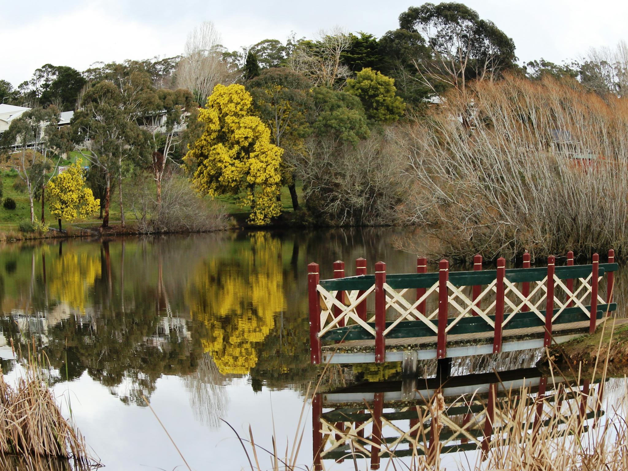 A view across the water of Lake Daylesford with trees bare of leaves and a jetty in the foreground
