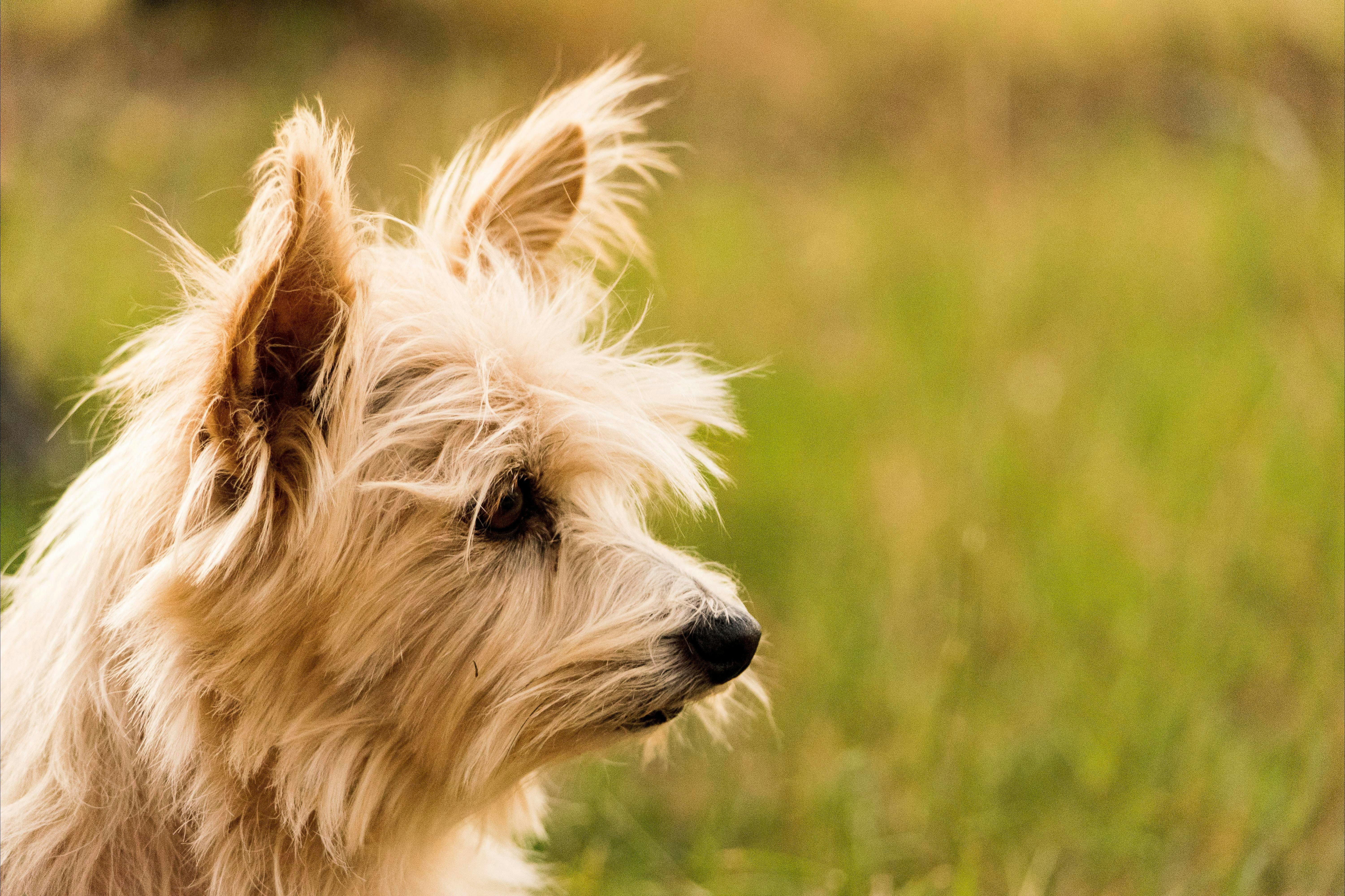 Barkala Farmstay and Blue Wren Bush Cafe