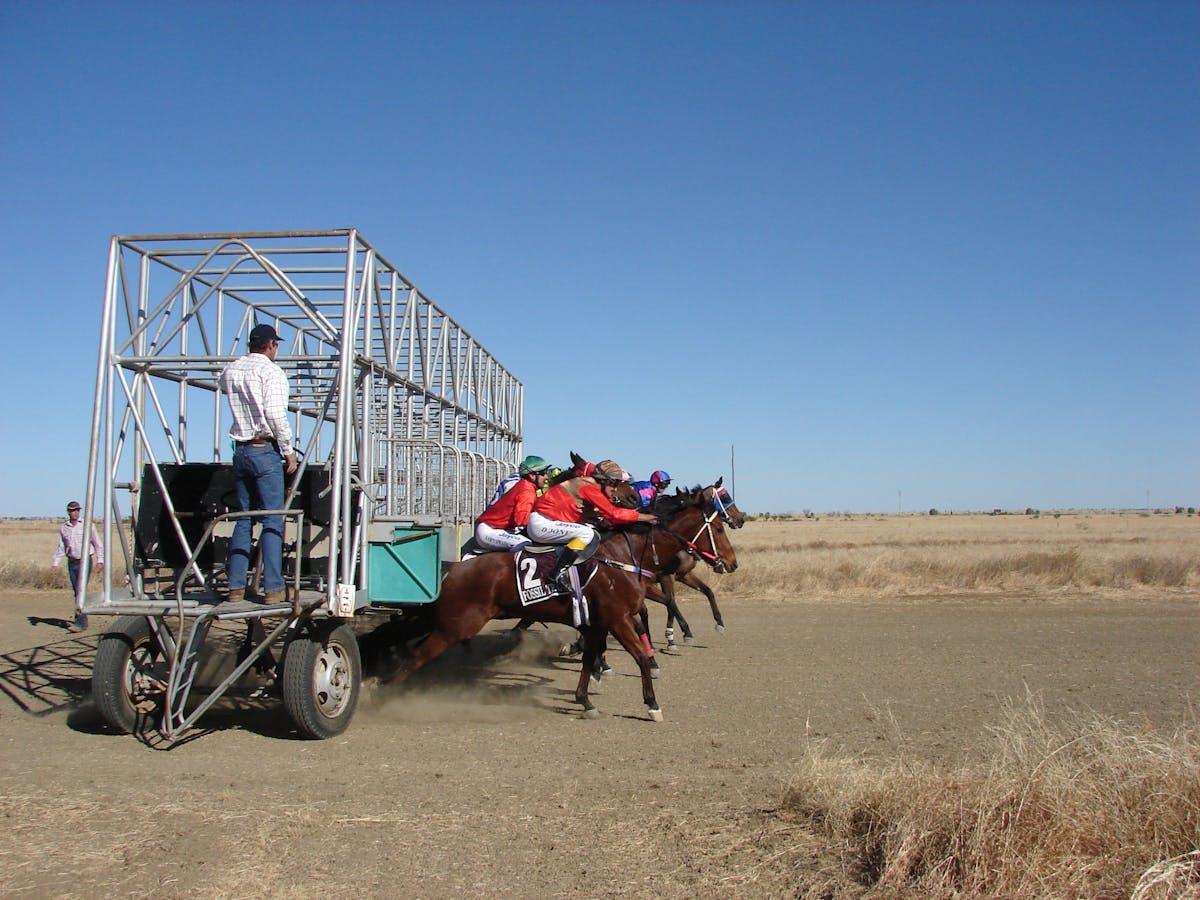 Horses jumping out of the barriers on race day Horses jumping out of the barriers on race day