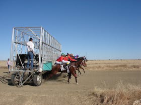 Horses jumping out of the barriers on race day