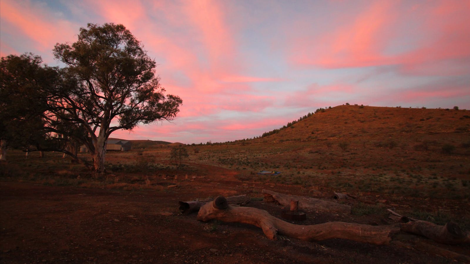 Ikara-Flinders Ranges National Park