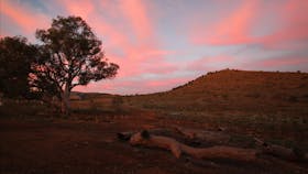 Ikara-Flinders Ranges National Park