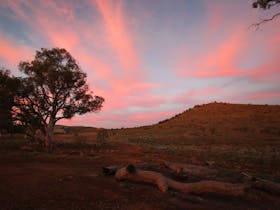 flinders-ranges