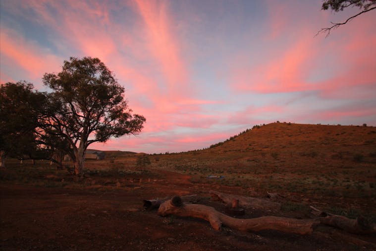 IkaraFlinders Ranges National Park