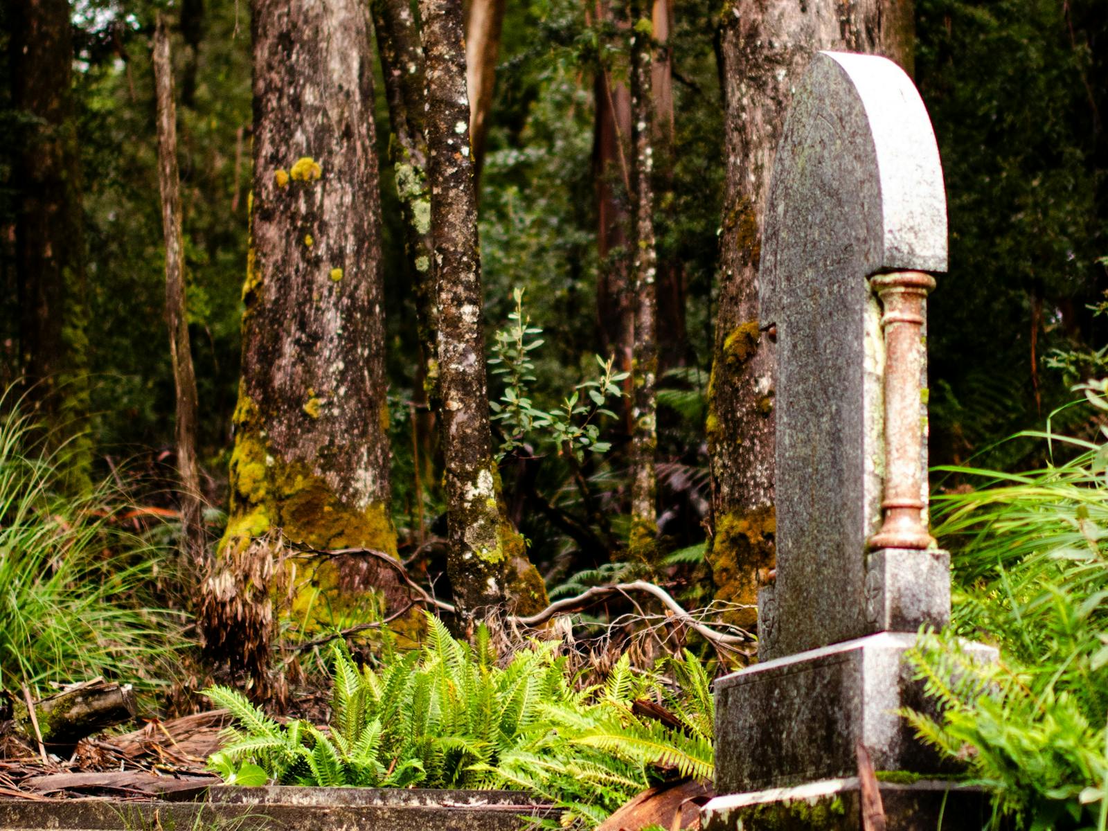 Multiple stone graves on incline into the rainforest with one prominent gravestone
