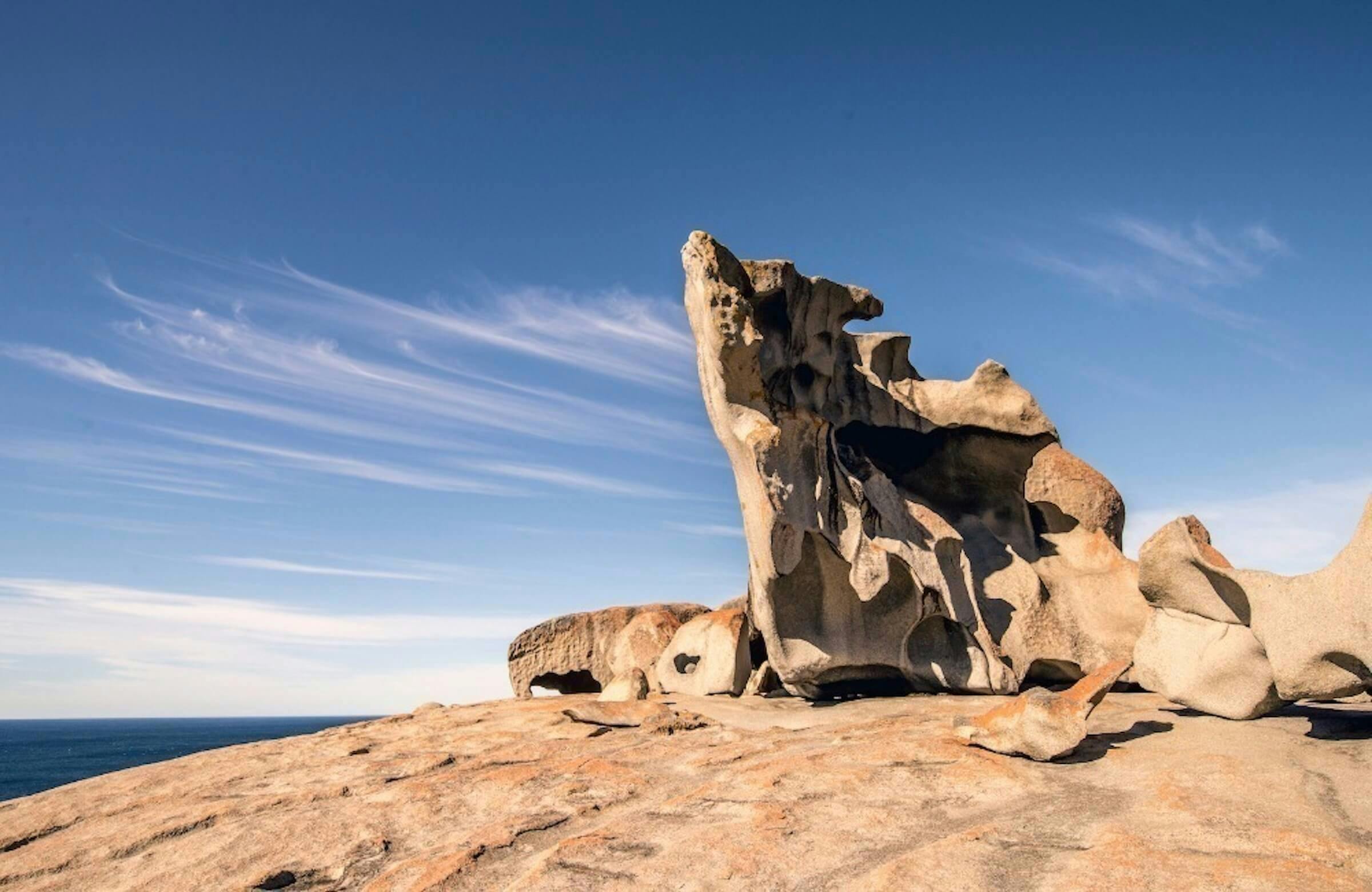 Kangaroo Island Wildlife and Conservation