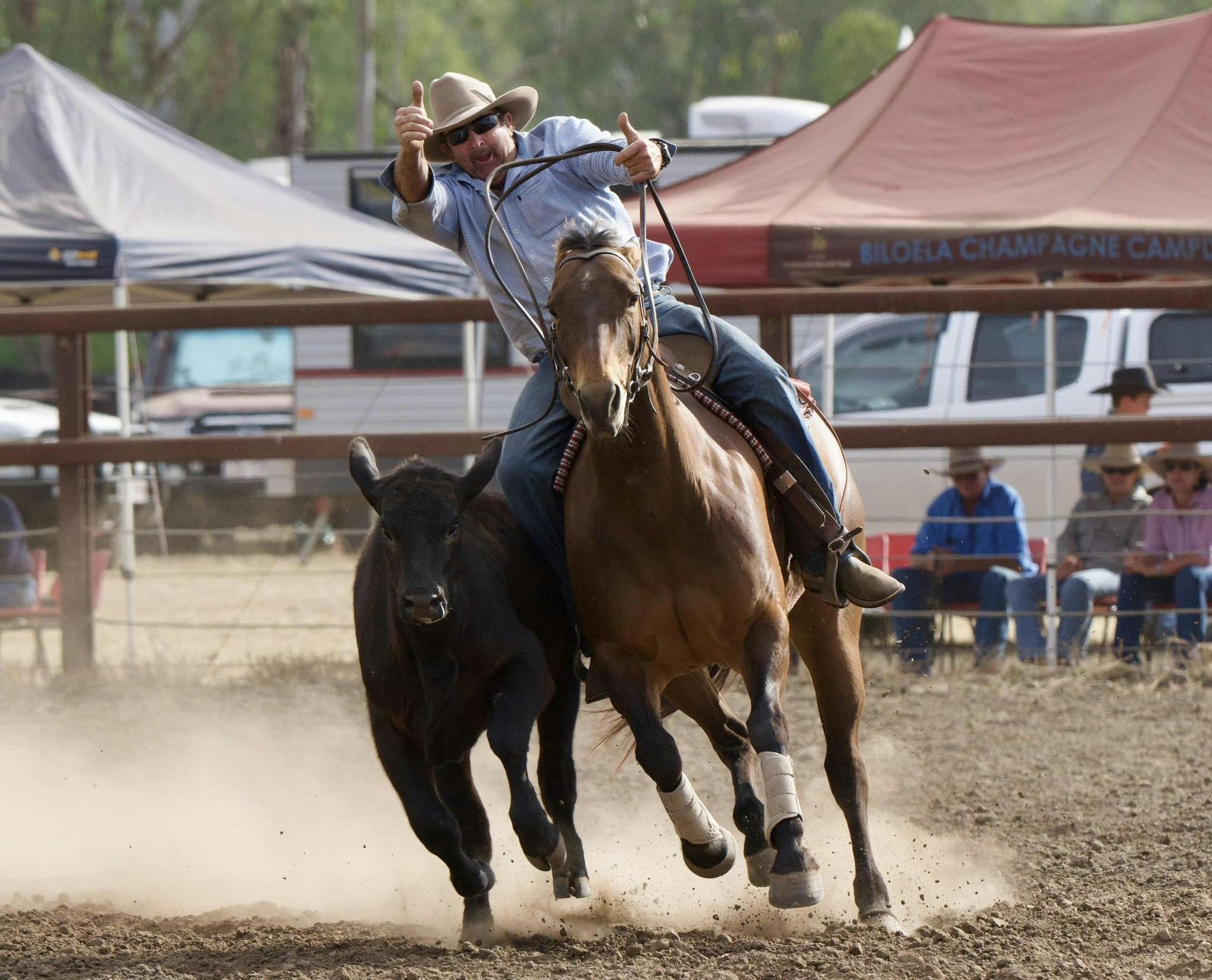 Jambin Champagne Campdraft - photo credit ASHJO Photography