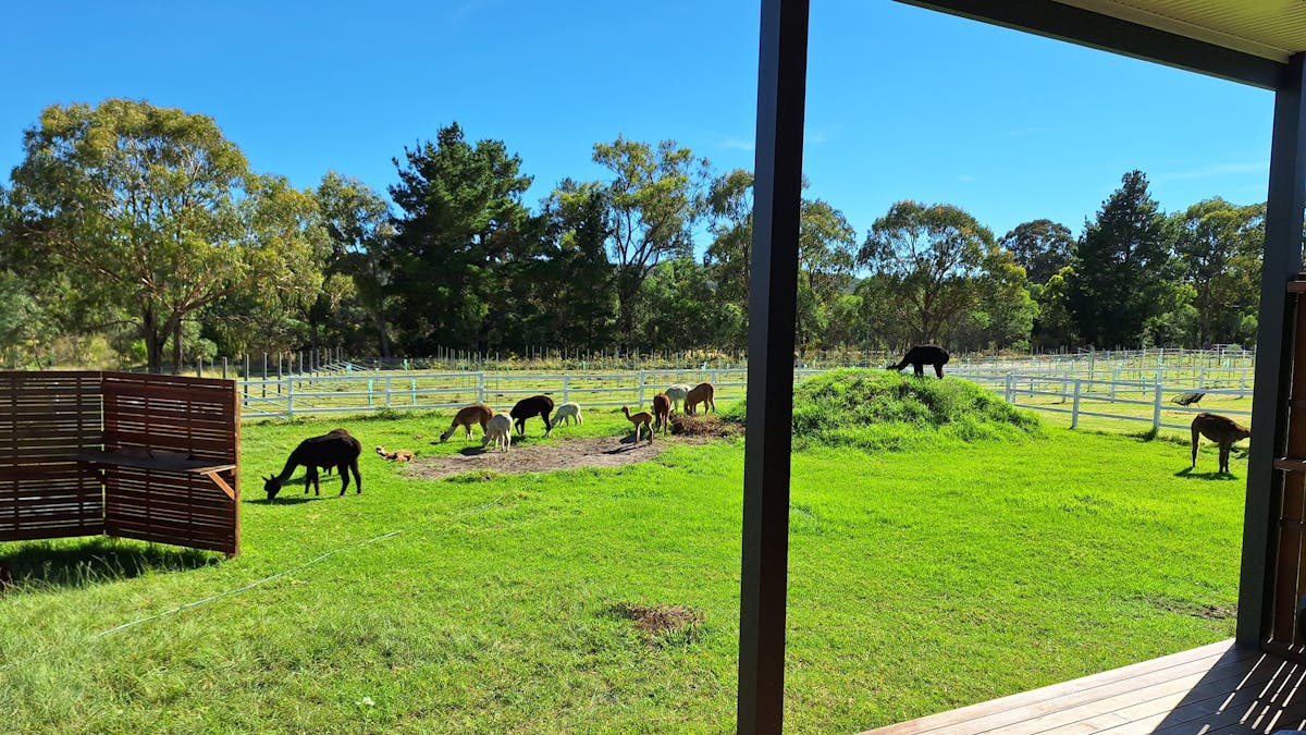 Valley views over the vineyard, and near our famous cellar door, next to Girraween national park