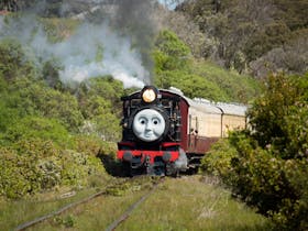 Day Out With Thomas - Queenscliff