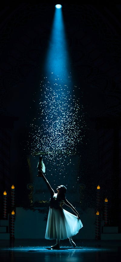 The Nutcracker