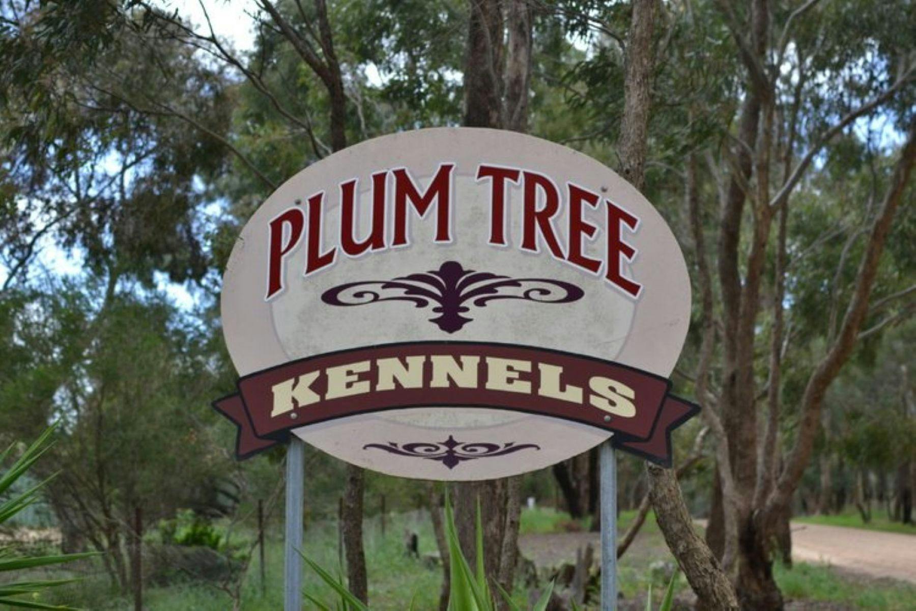 Plumtree Kennels and Cattery