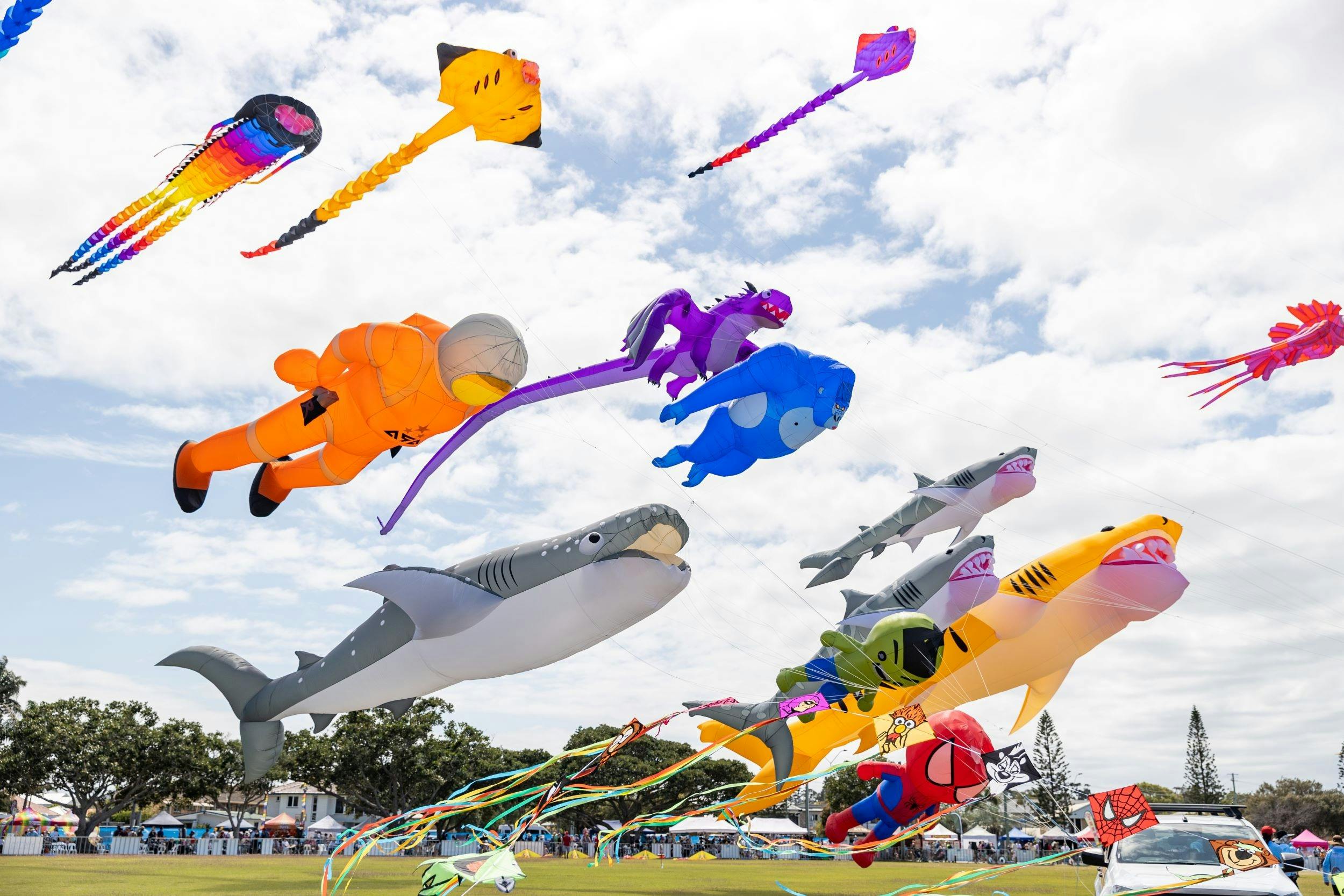 Redcliffe_kitefest_sky-full-of-kites