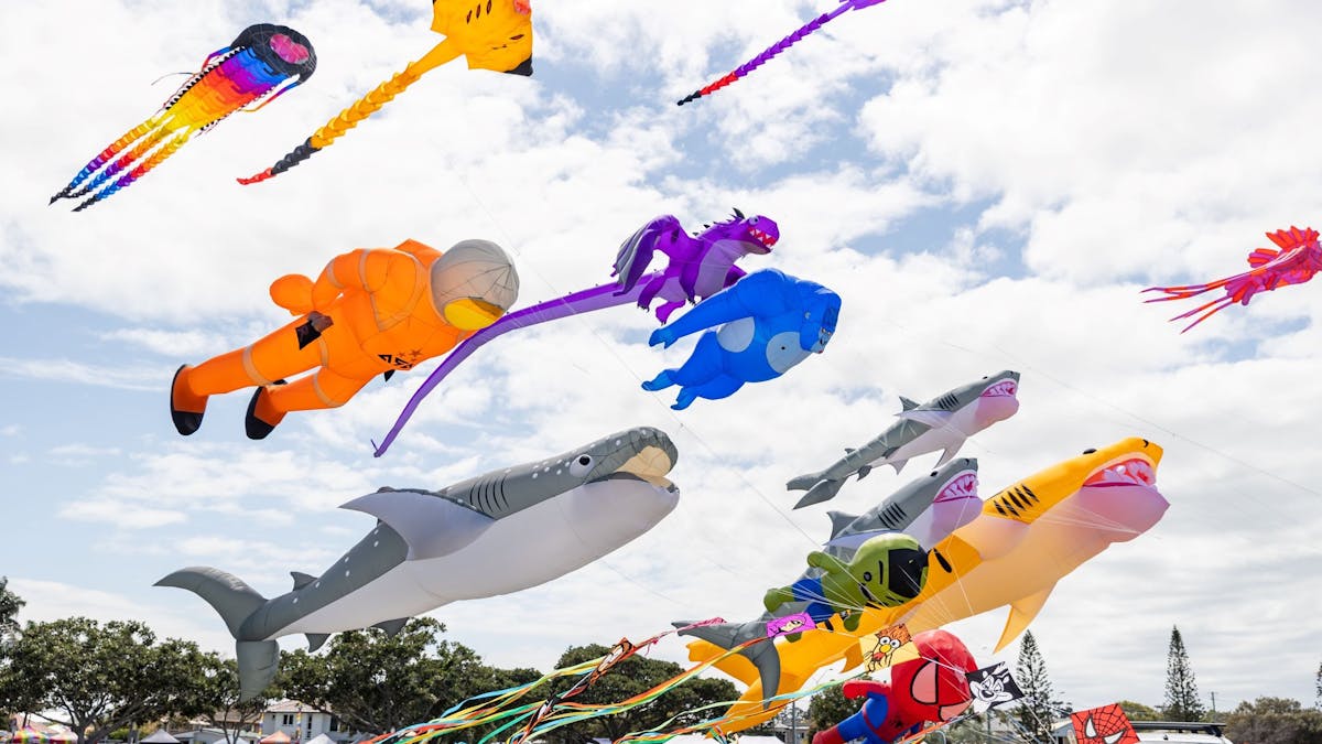 Redcliffe_kitefest_sky-full-of-kites