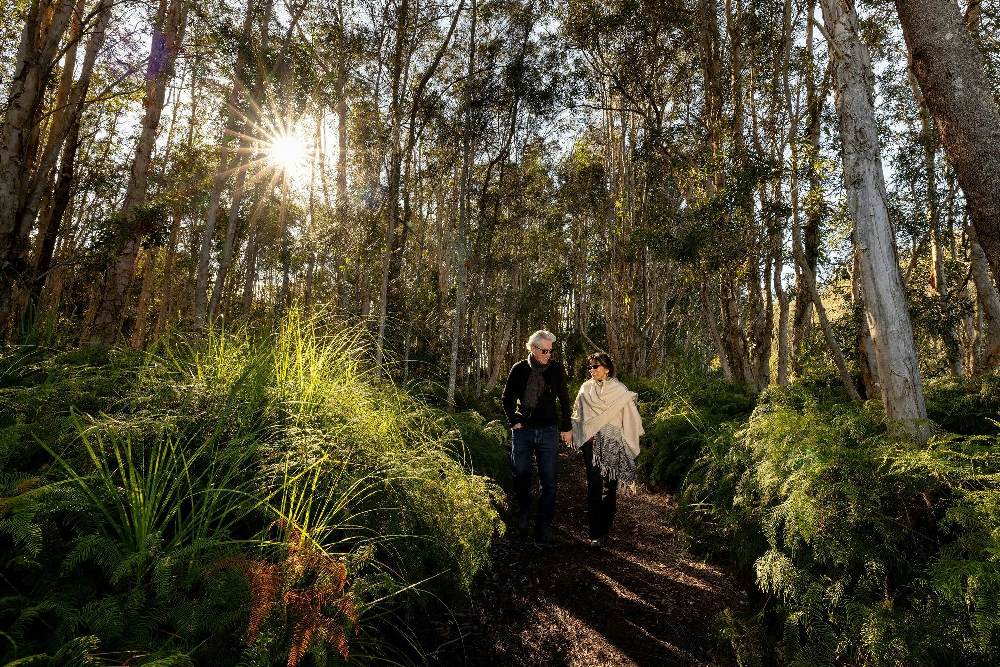 Along the path - Urunga Wetlands