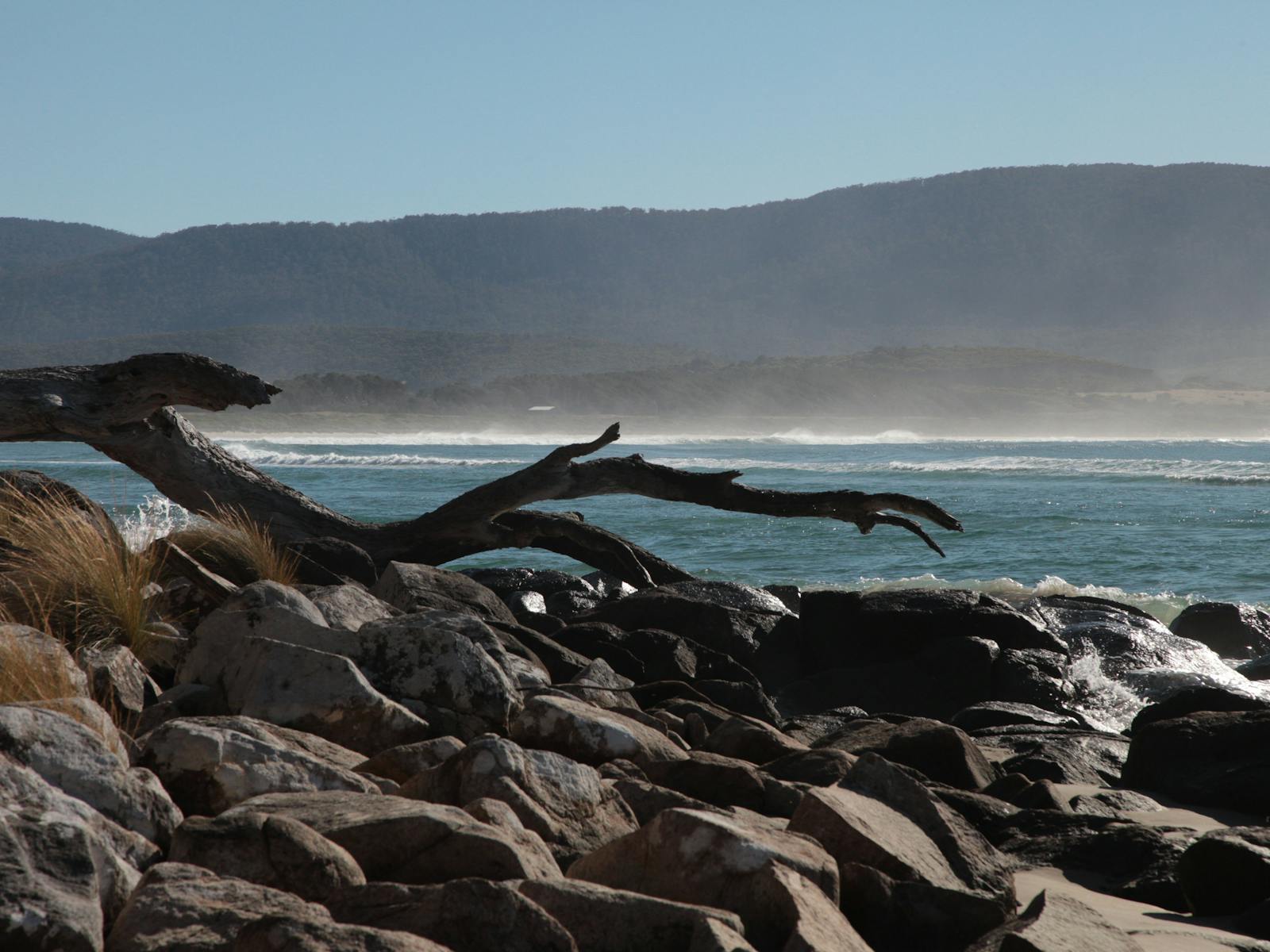 Camping at Bruny