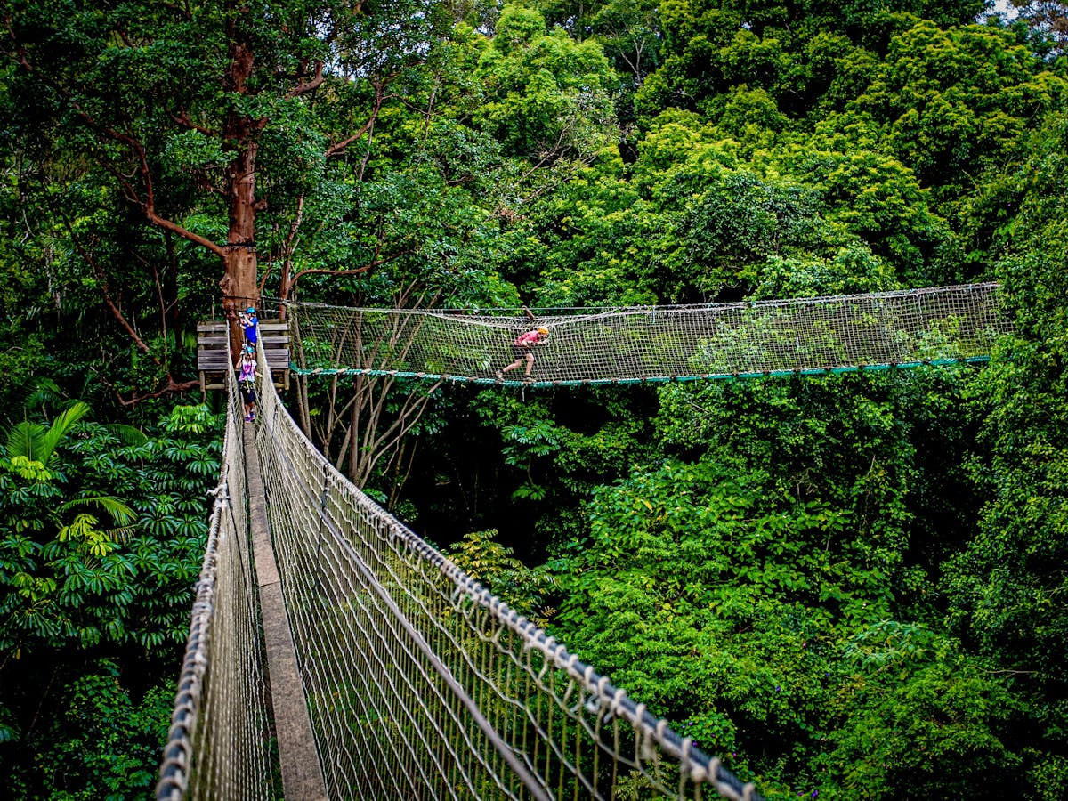 Treetop Challenge Treetop Challenge