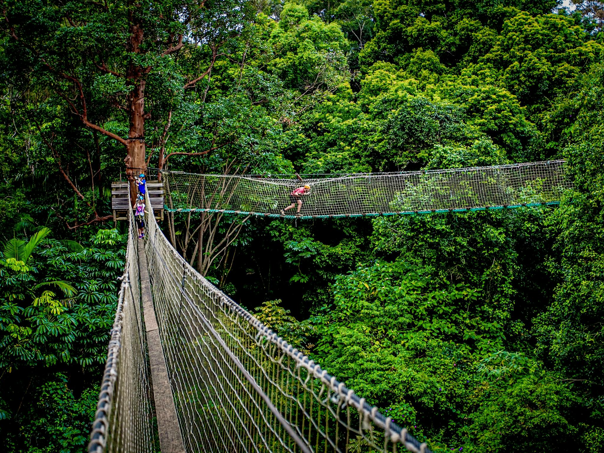 Thunderbird Park 174 Tamborine Mountain Gold Coast Region