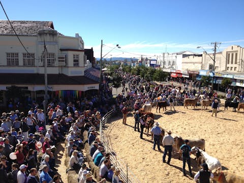 Bison farm casino nsw opening