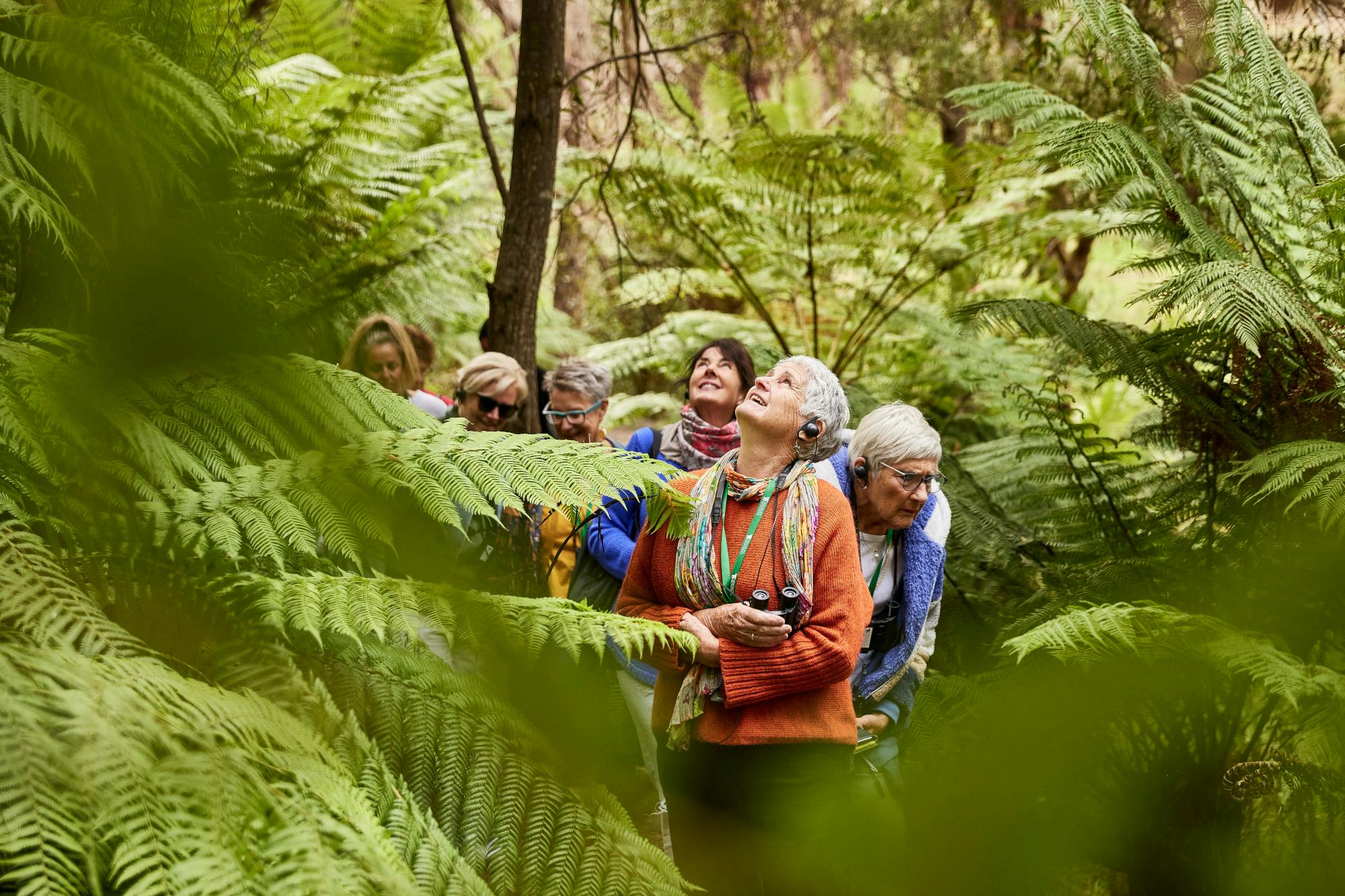 A tour group in the rainforest