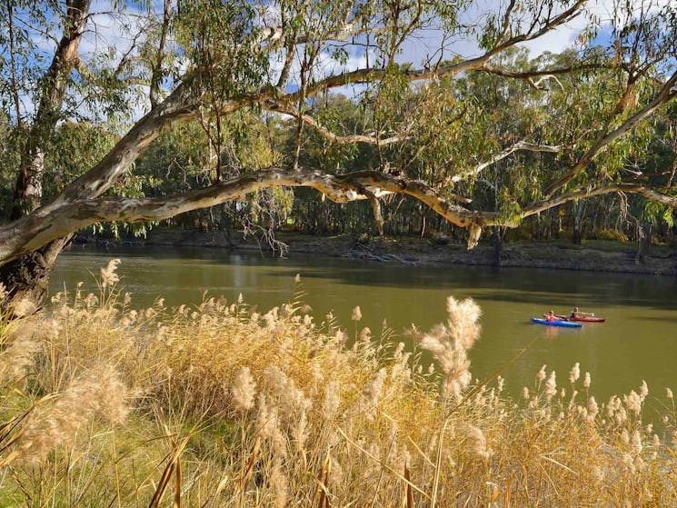 River shores, Murrumbidgee Valley National Park. Photo: David Finnegan/NSW Government
