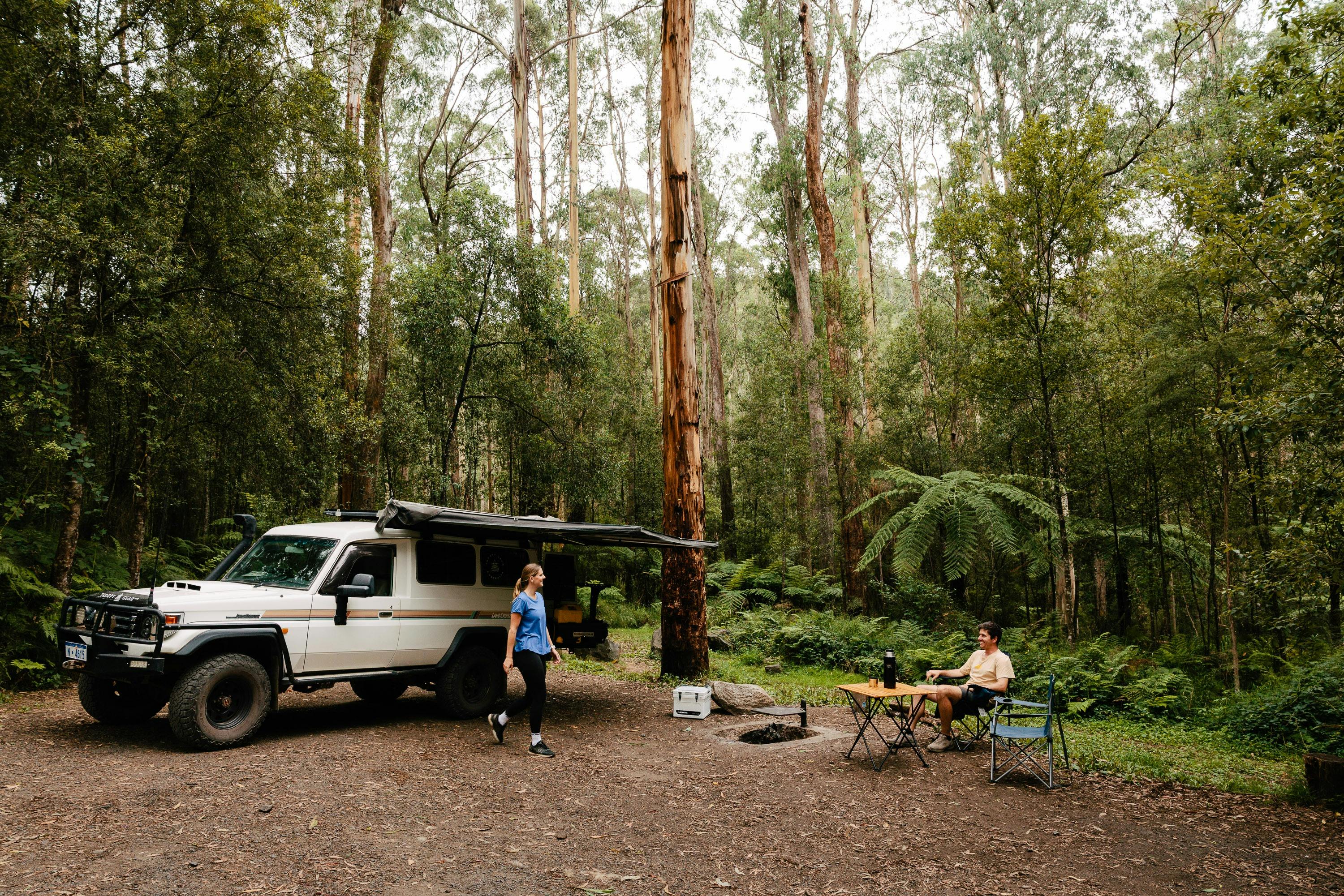 Set up camp surrounded by tall forest
