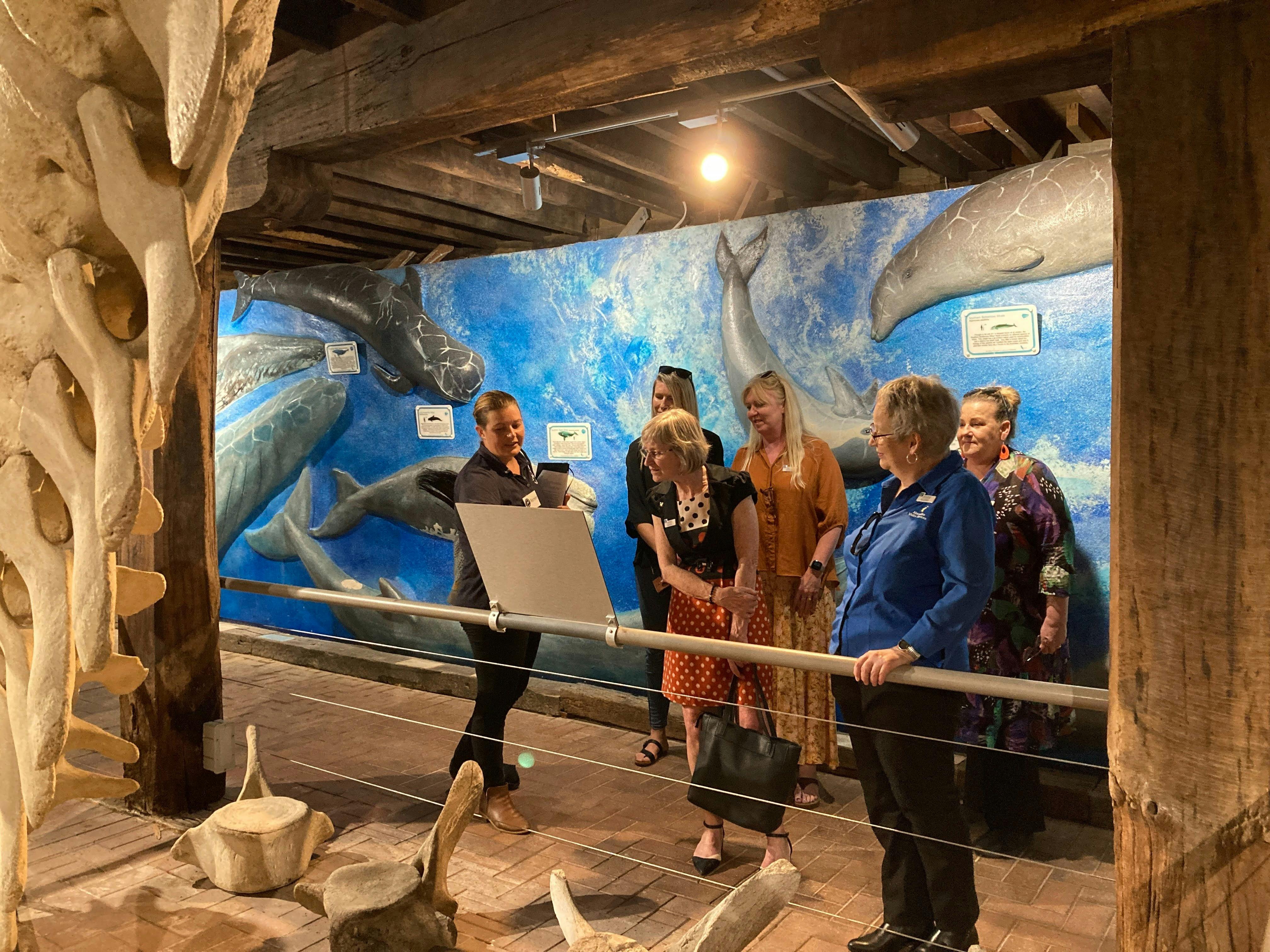 Whale Skeleton, Whale Centre