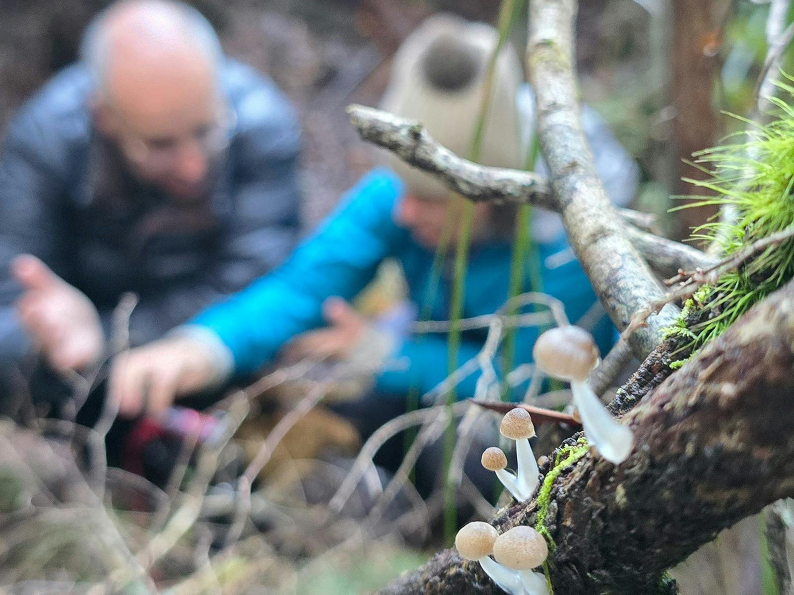 Corinna Fungi Month photography workshop image