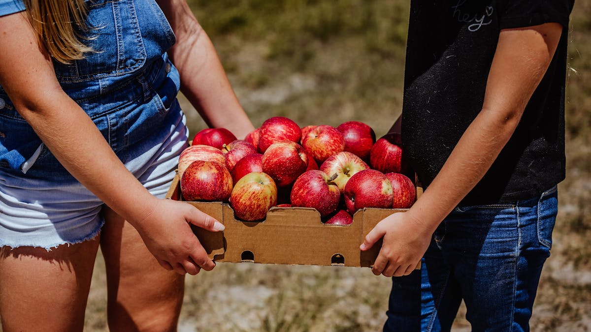 Carry home your own apples