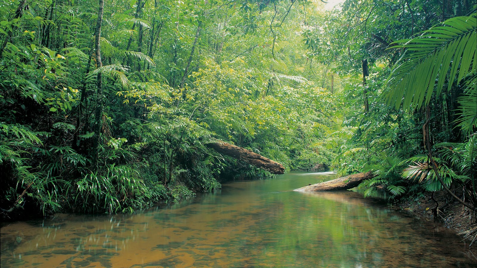 Djiru National Park