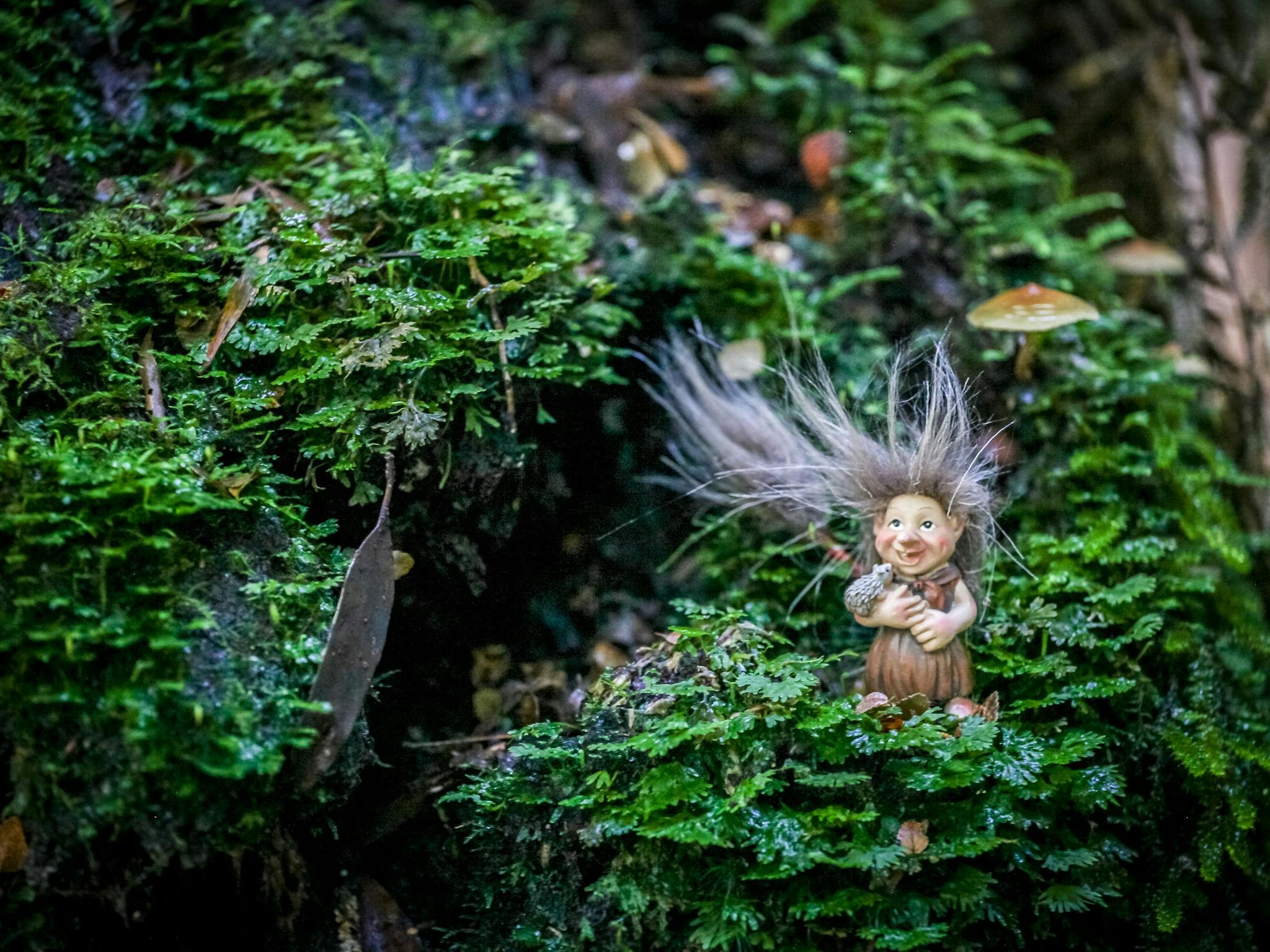 Trolls in the forest