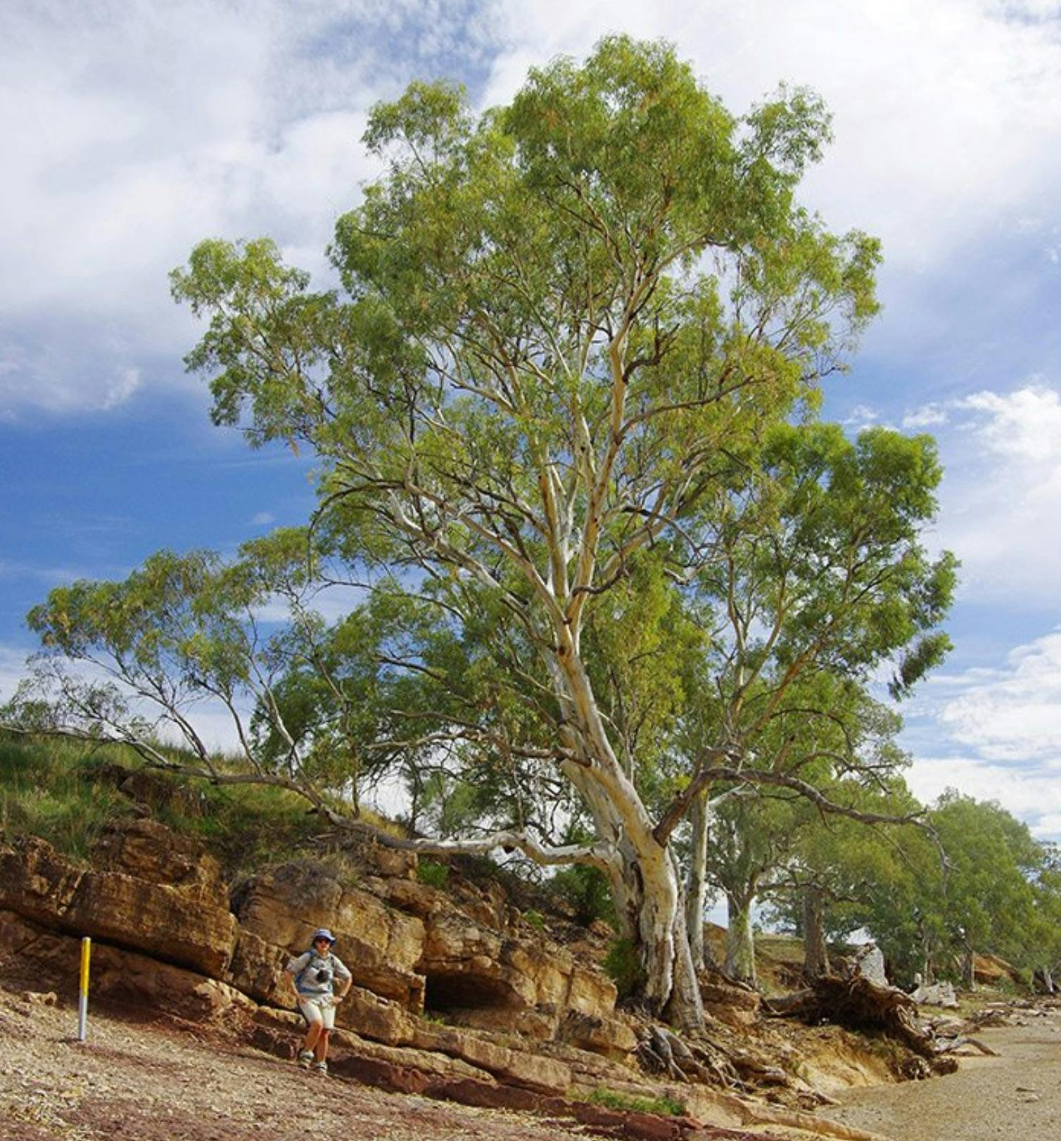 Flinders Ranges 7 Days - Self-Guided