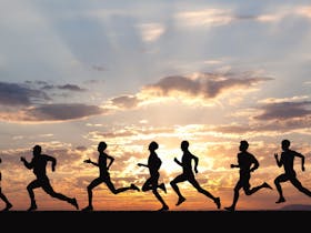 Sydney Duathlon