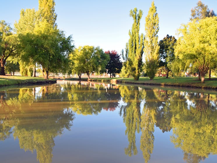 Brookong Lagoon, Lockhart Caravan Park