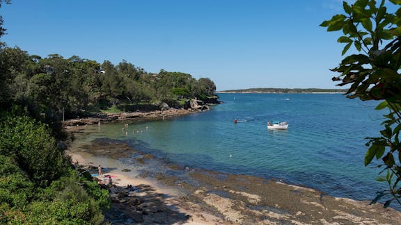 Salmon Haul Reserve Cronulla