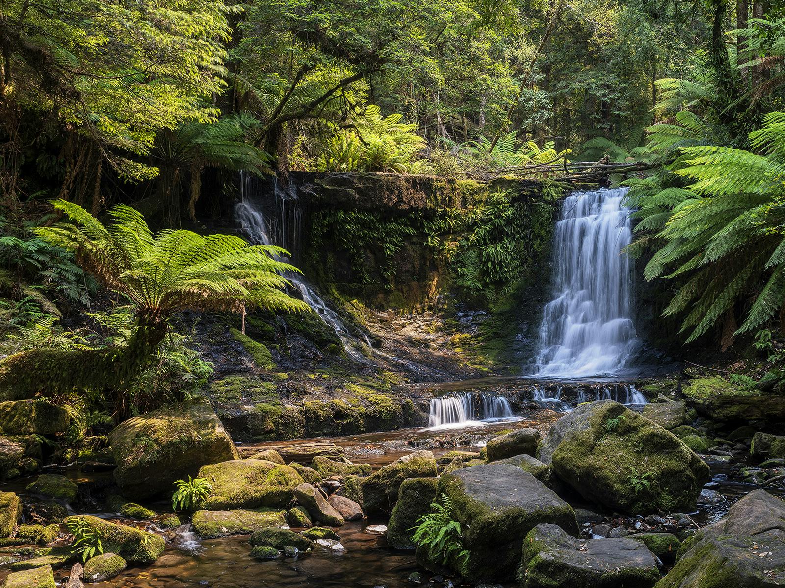 Horseshoe Falls is a special highlight of this photography day tour at Mt Field & Styx Valley