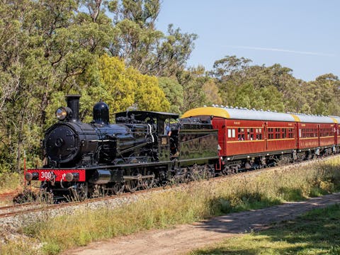 Steam Train Weekends at NSW Rail Museum