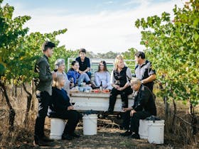 The Zema Family pictured among the vines at Zema Estate in Coonawarra