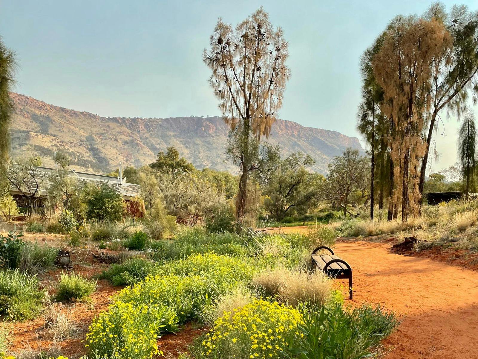 Desert Park - red earth parth and botanic garden with bench