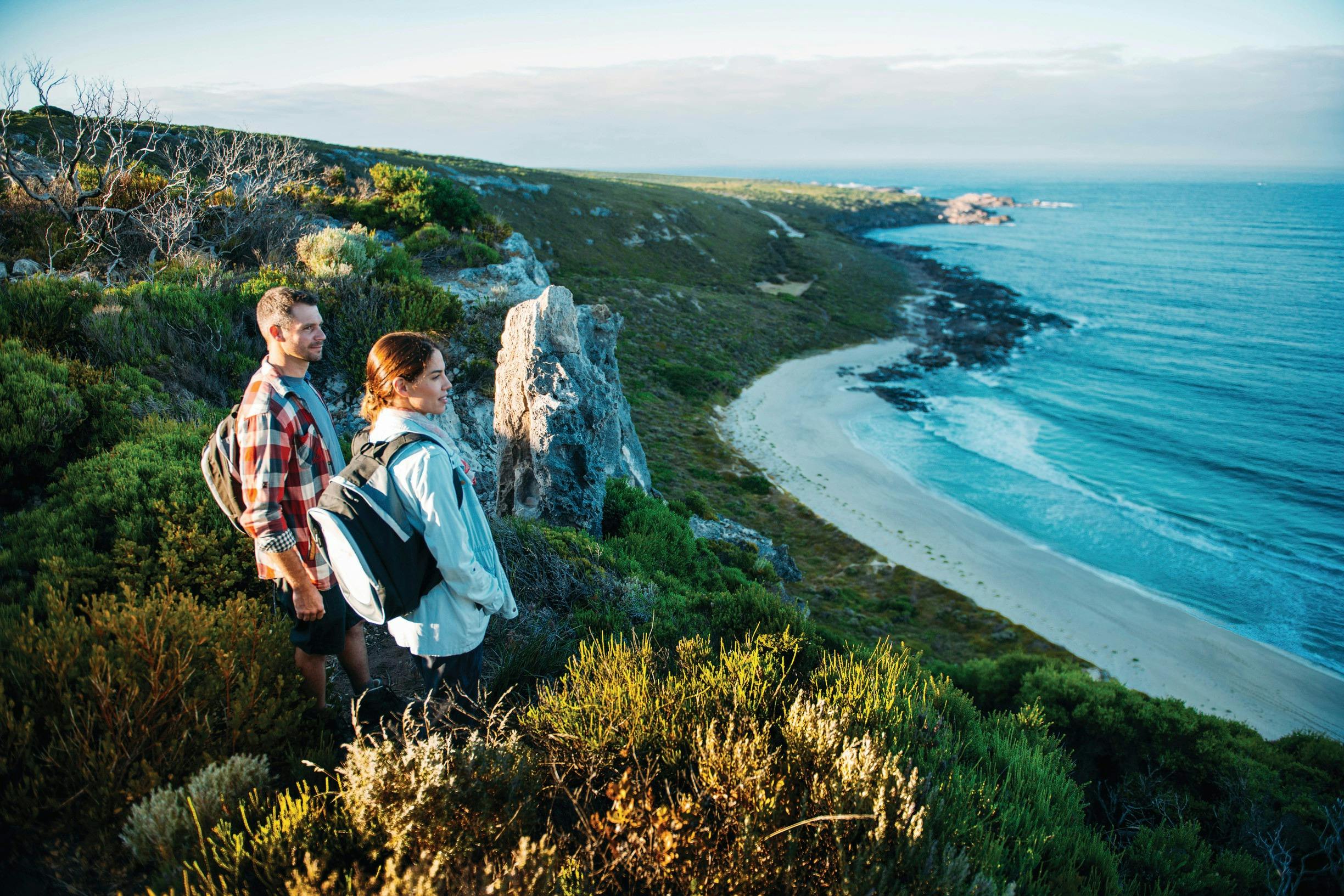 Jarrahland Wildflower Trail, Augusta, Western Australia