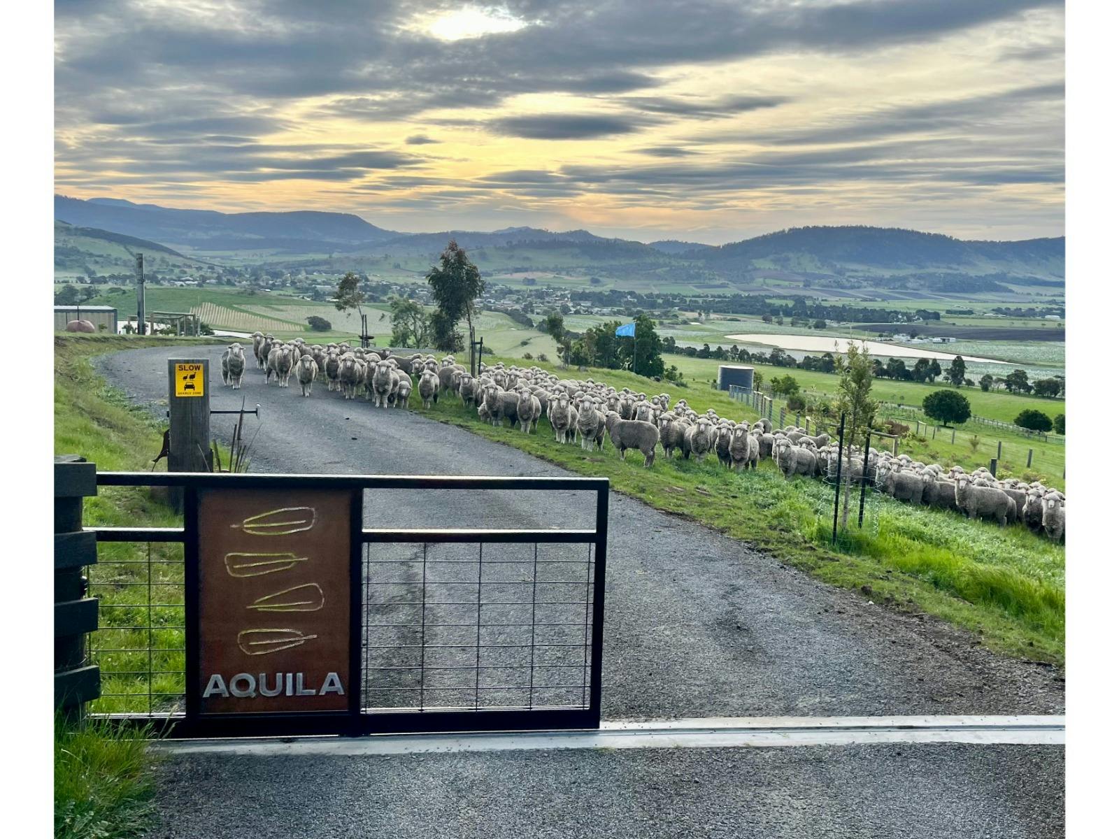 Automatic entrance gate